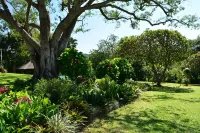 Oppi Plaas Hotels near Seronera Crocodile Farm Tours