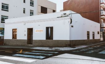 Ashavana Nest Hostel