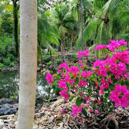 Andnindot Garden Resort