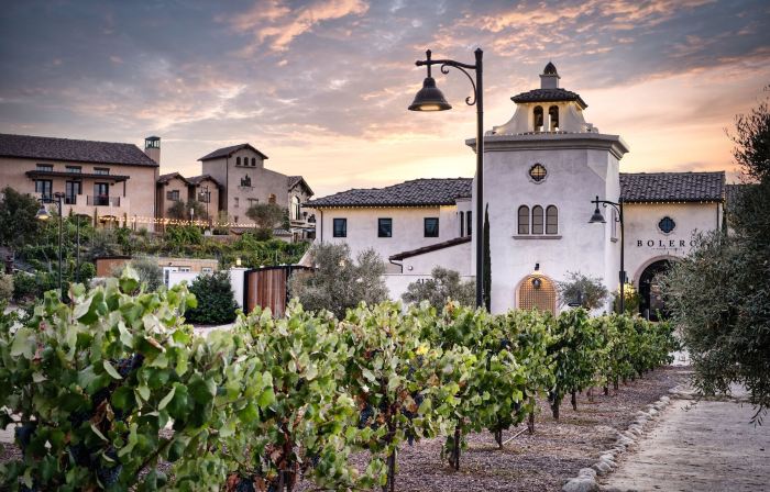 Europa Village Wineries and Resort