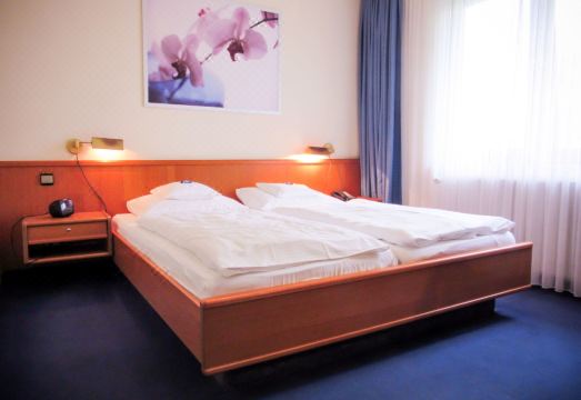 호텔 취르처 플로라