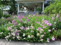 McConnell Inn Hotels in Green Lake