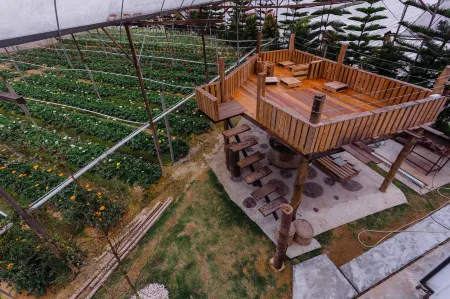 Westwood Highland - Hostel Отели рядом с достопримечательностью «Ee Feng Gu Bee Farm»