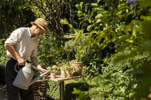 라 미랑드 아비뇽
