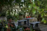 Serendipity Country House & Restaurant