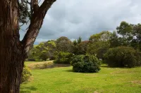 Bellbrae Motel Hotels in Bellbrae