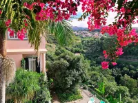 Villa Alto Boutique Hotel - Ocean View