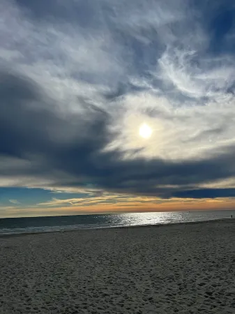 New!  Spectacular Ocean & Marsh Views, Elevator, Pool, Den, Ada, Steps to Beach!