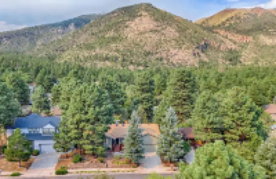 Forest Heights