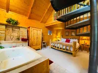 Romantic Honeymoon Cabin in the Smokies Hôtels à : Cosby