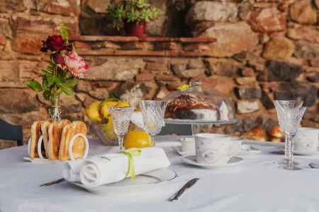 Masia Can Viver - Olive Oil Tourism B&B Отели в г. Бигес-и-Риельс