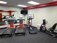The Boulevard Inn & Bistro - Gym