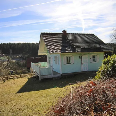 Ferienhaus , Tanne