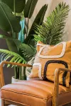 Your Apartment | Arabica House