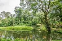 Ara Ambigua Lodge
