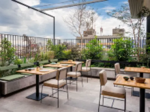 Umbral, a Curio Collection by Hilton