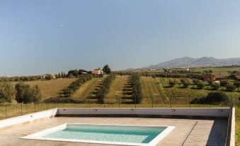 Villa Olivieri B&B Wellness House
