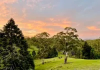Whispering Valley Cottage Retreat - Mountain view