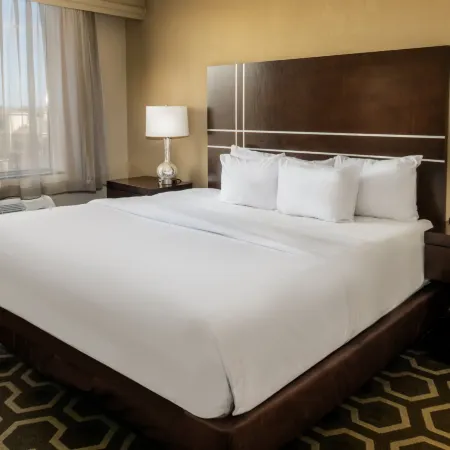 Embassy Suites by Hilton St. Louis Airport
