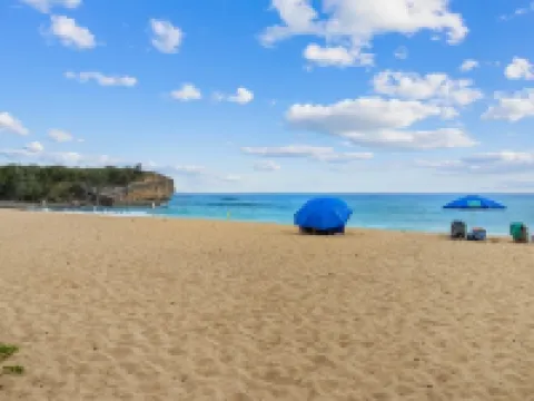 Regency Villas at Poipu Kai H222 5 Bedroom Condo Hotels in Poipu