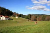 4-star apartment in a modern chalet near Les Jouvencelles Hotels in Premanon