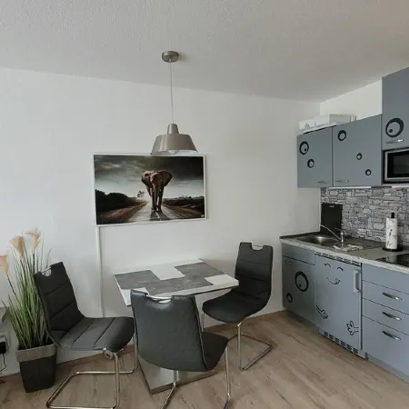 Chic 35 sqm apartment for up to 3 people with air conditioning heat exchanger