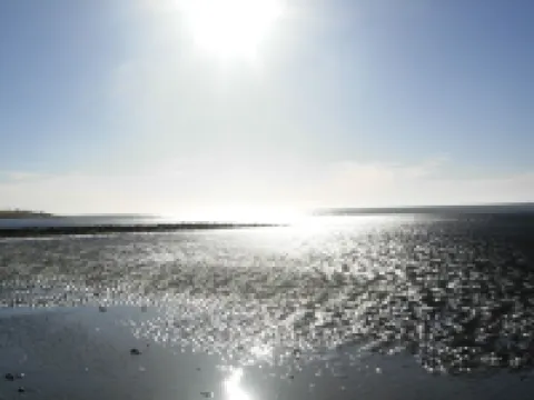 Modern, comfortable apartment close to the center, first time use in March 2015