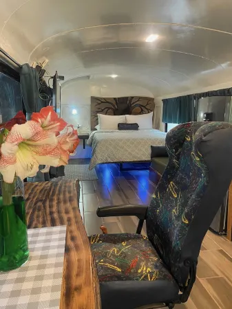 Ficus Wonders Bus. A Journey Through Nature