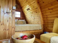 The Gold Pod, Relax and Enjoy on a Glamping House