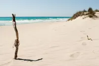 Beachfront apartment in Residence Rosa Virginia Pool