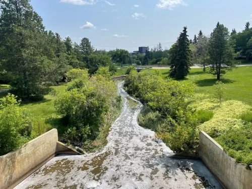 Stunning 1 Bedroom Apartmenet Hotels in Camrose