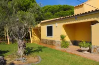Fantastic Villa w/Large Garden&Private Pool in 3acre Farm-near Quinta do Lago