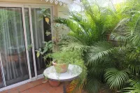 Seasonal rental 200m from the lagoon and beach at La Saline les Bains. La Réunion Hotels in La Saline-Les-Bains