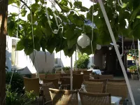 Hotel Zum Schwan