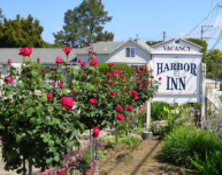 Harbor Inn