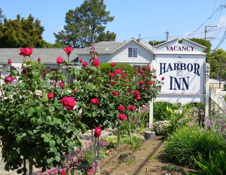 Harbor Inn