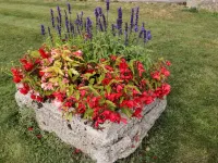 Brindle Cottage Hotels in Swindon