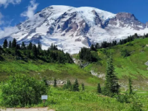 尼斯科利旅館 阿什福德酒店