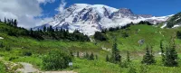 Nisqually Lodge Hotels in Ashford