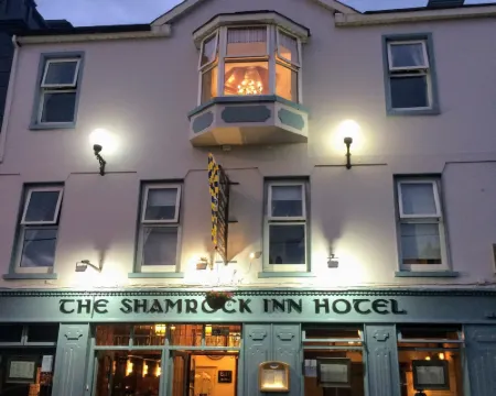 Shamrock Inn Hotel Hotels in Lahinch