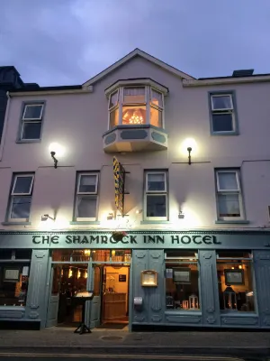 Shamrock Inn Hotel Hotels in Doolin