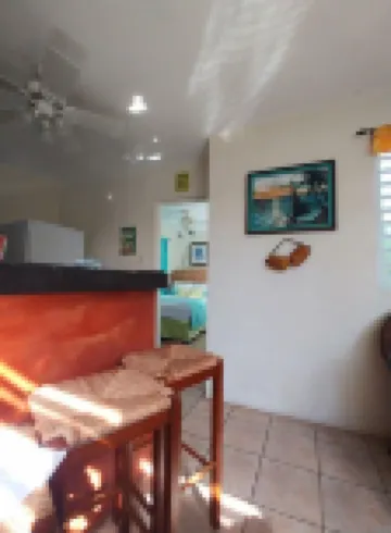 Casa de Tortuga Guesthouse