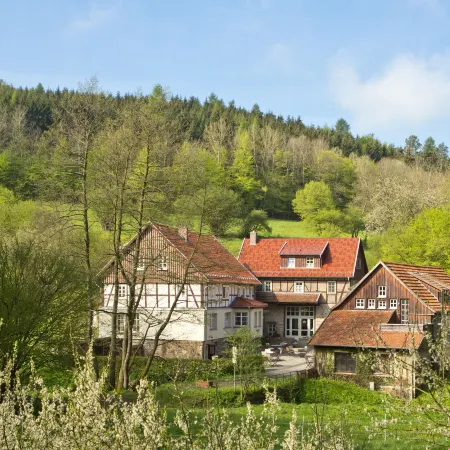 Romantik Hotel Landhaus Bärenmühle