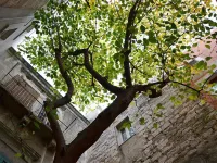 Suite Home Trani Old Town