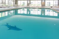 Clarion Inn Elmhurst - Oak Brook Near I-88 I-290 I-294 - Pools