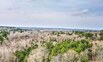 Charming Rusk Guest Cabin w/ Shared Yard