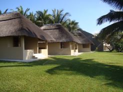 Aguia Negra