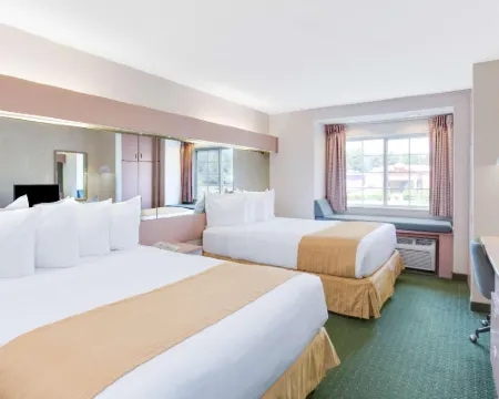 Microtel Inn & Suites by Wyndham Greensboro Hotels in Guilford County