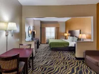 Quality Suites Addison-Dallas Hotels in Addison