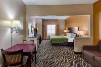 Quality Suites Addison-Dallas